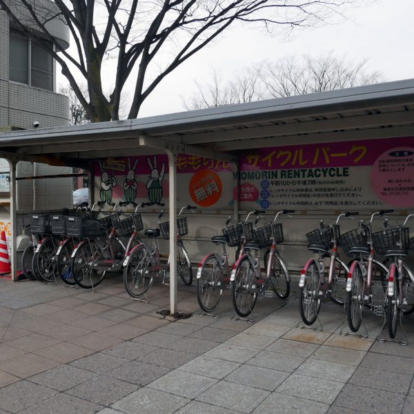 車がなくても大丈夫！？自転車だけで福島市の生活を乗りきるためのヒント5つの画像