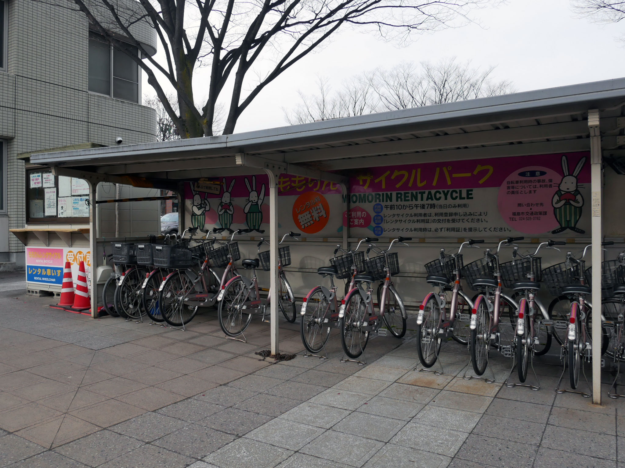 車がなくても大丈夫!?自転車だけで福島市の生活を乗りきるため 車がなくても大丈夫!?自転車だけで福島市の生活を乗りきるため