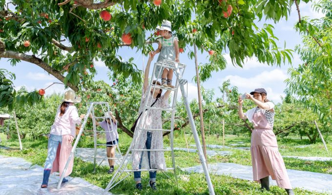 Berry’s Garden Farm（ベーリーズガーデンファーム）の画像