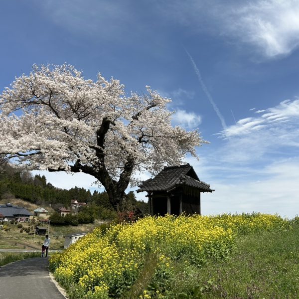 結婚を機に福島に移り住んだ私が、暮らしになじむまでの画像