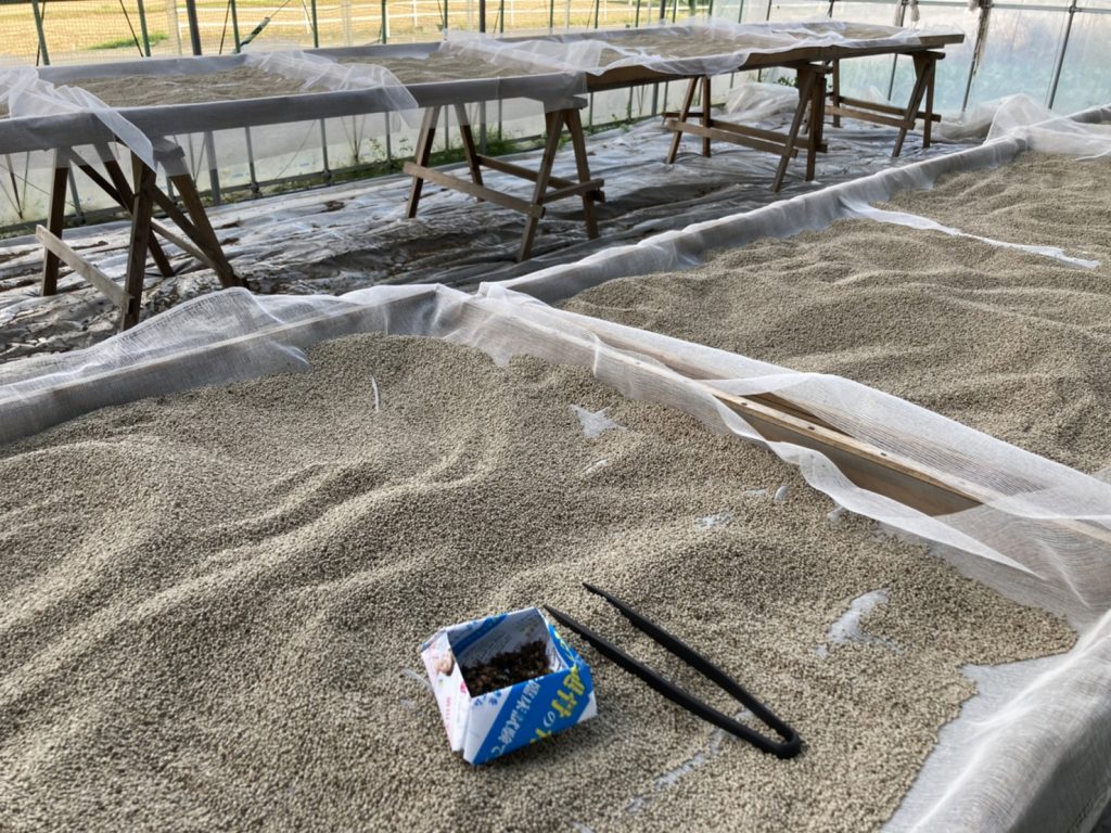 「えごまを、もっと身近に。」　ー福島に移り住んで知った、畑の小さな宝物ー